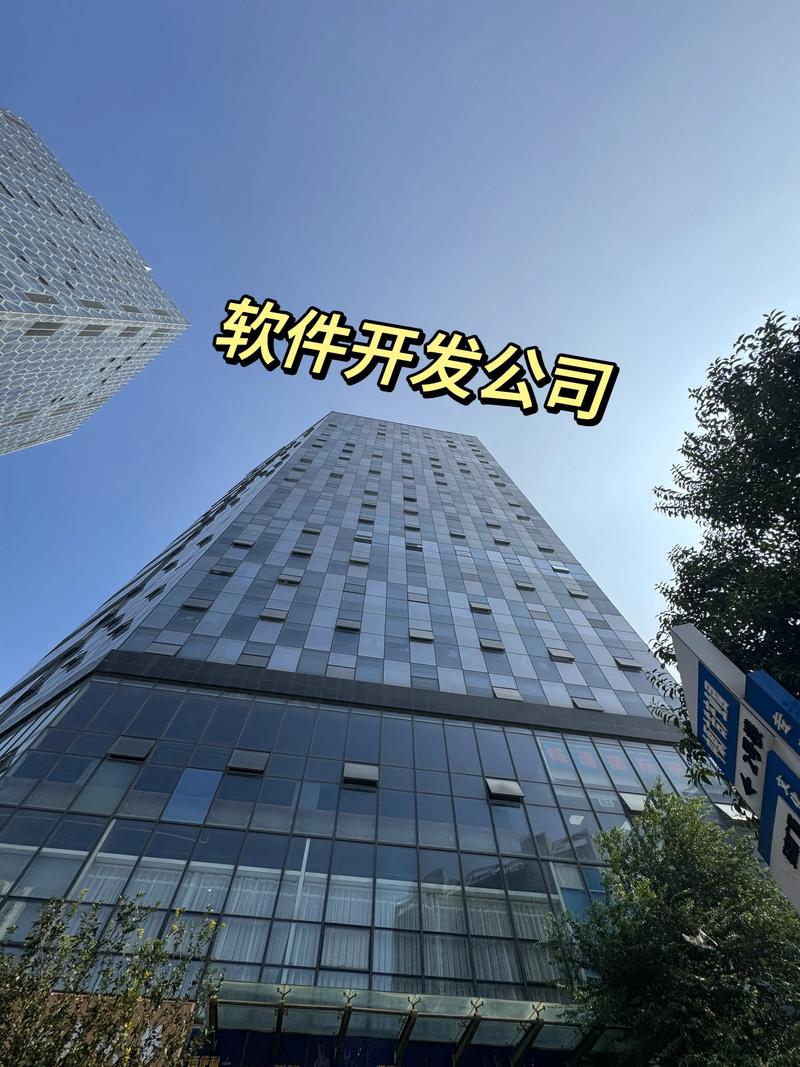 软件定制开发